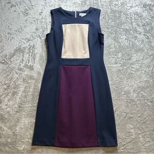 Calvin Klein Colorblock Sleeveless Dress